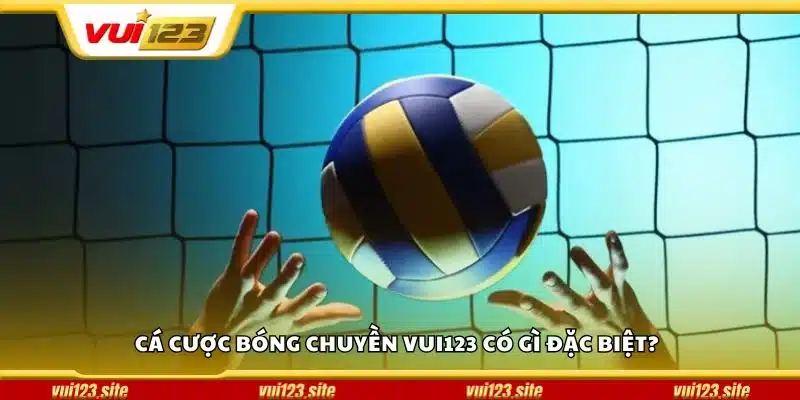 Cá cược bóng chuyền Vui123 có gì đặc biệt?