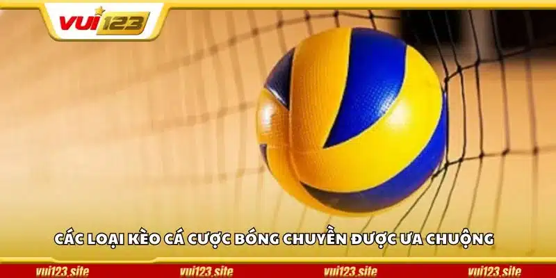 Các loại kèo cá cược bóng chuyền được ưa chuộng