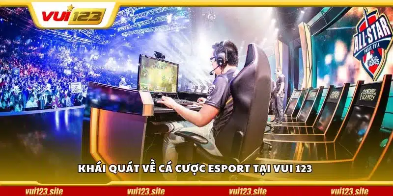 Khái quát về cá cược Esport tại Vui 123
