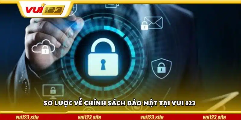 Sơ lược về chính sách bảo mật tại Vui 123