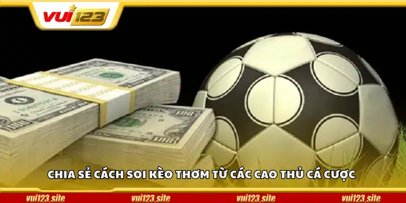 Chia sẻ cách soi kèo thơm từ các cao thủ cá cược