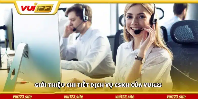 Giới thiệu chi tiết dịch vụ CSKH của Vui123